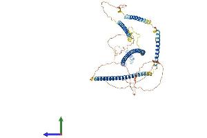 Protein Structure (PS) image for Synovial Sarcoma, X Breakpoint 2 Interacting Protein (SSX2IP) (AA 1-615) protein (His tag) (ABIN7564724)