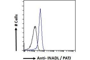 ABIN185139 Flow cytometric analysis of paraformaldehyde fixed A431 cells (blue line), permeabilized with 0. (PATJ 抗体  (N-Term))