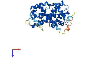 Cyclin D1 Protein (CCND1) (AA 1-295) (His tag)