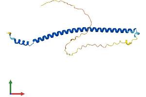 Protein Structure (PS) image for Chromosome 19 Open Reading Frame 50 (C19orf50) (AA 1-176) protein (His tag) (ABIN7548845)