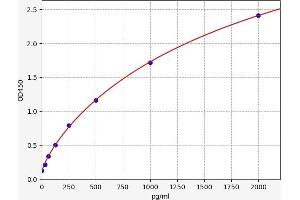 CALB1 ELISA 试剂盒