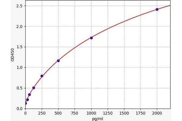 CALB1 ELISA 试剂盒