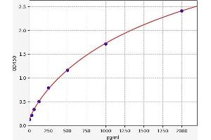Typical standard curve (CALB1 ELISA 试剂盒)