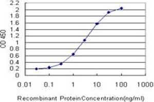 Detection limit for recombinant GST tagged TRIB2 is approximately 0. (TRIB2 抗体  (AA 254-343))
