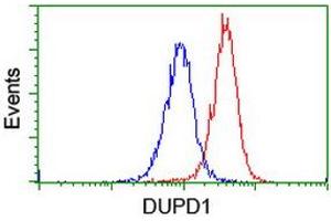 Image no. 10 for anti-Dual Specificity Phosphatase and Pro Isomerase Domain Containing 1 (DUPD1) antibody (ABIN1497927) (DUPD1 抗体)