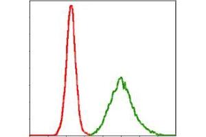 Flow Cytometry (FACS) image for anti-Potassium Voltage-Gated Channel, KQT-Like Subfamily, Member 1 (KCNQ1) antibody (ABIN969227)