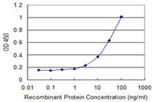 Detection limit for recombinant GST tagged DCK is 1 ng/ml as a capture antibody. (DCK 抗体  (AA 161-260))