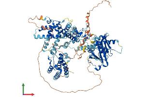 Protein Structure (PS) image for K(lysine) Acetyltransferase 2B (KAT2B) (AA 1-832) protein (His tag) (ABIN7554338)