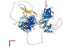 HIRA Protein (AA 1-1015) (His tag)