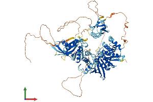 Protein Structure (PS) image for Protein tyrosine Phosphatase, Non-Receptor Type 3 (PTPN3) (AA 1-913) protein (His tag) (ABIN7561933)