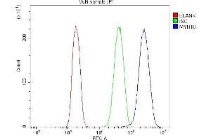 Flow Cytometry analysis of A431 cells using anti-non-muscle Myosin IIB/MYH10 antibody (ABIN7603186). (MYH10 抗体  (N-Term))