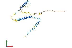 Protein Structure (PS) image for G-Protein Signaling Modulator 3 (GPSM3) (AA 1-159) protein (His tag) (ABIN7557129)