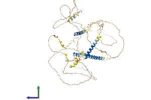 AlphaFold protein structure predicition of Human Recombinant SLAIN2 Protein, UniprotID Q9P270