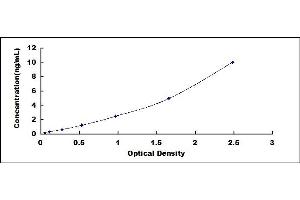 Typical standard curve (TIMP1 ELISA 试剂盒)