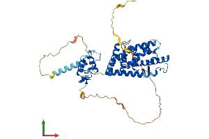 AlphaFold protein structure predicition of Human Recombinant NR1H2 Protein, UniprotID P55055