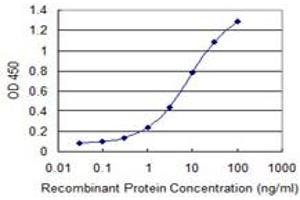Detection limit for recombinant GST tagged NFKBIB is 0. (NFKBIB 抗体  (AA 1-356))