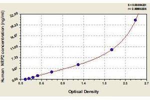 Typical standard curve (NRP2 ELISA 试剂盒)