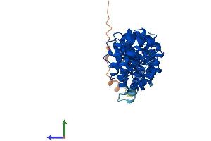 AlphaFold protein structure predicition of Human Recombinant RSPH14 Protein, UniprotID Q9UHP6