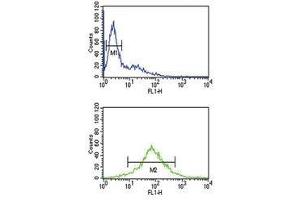EZH2 antibody flow cytometric analysis of Jurkat cells (bottom histogram) compared to negative control cells (top histogram). (EZH2 抗体)