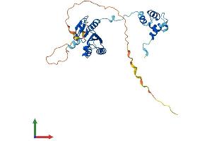 AlphaFold protein structure predicition of Human Recombinant ERCC1 Protein, UniprotID P07992 (ERCC1 Protein (AA 1-297) (His tag))