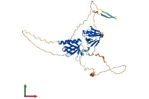 Protein Structure (PS) image for Pleckstrin Homology Domain Containing Family A2 (PLEKHA2) (AA 1-425) protein (His tag) (ABIN7550718)