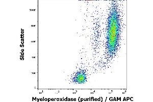 Flow cytometry intracellular staining pattern of human peripheral whole blood stained using anti-human Myeloperoxidase (MPO421-8B2) purified antibody (concentration in sample 1 μg/mL) GAM APC. (Myeloperoxidase 抗体)