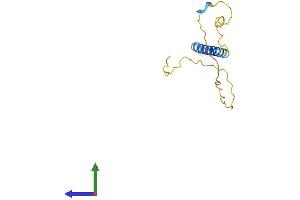Protein Structure (PS) image for SLP Adaptor and CSK Interacting Membrane Protein (SCIMP) (AA 1-145) protein (His tag) (ABIN7545892)