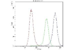 Flow Cytometry analysis of A549 cells using anti-CHRNA5 antibody (ABIN5518749).