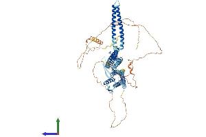 Protein Structure (PS) image for Small Conductance Calcium-Activated Potassium Channel Protein 3 (KCNN3) (AA 1-732) protein (His tag) (ABIN7556516)