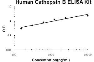 Human Cathepsin B Accusignal ELISA Kit Human Cathepsin B AccuSignal ELISA Kit standard curve. (Cathepsin B ELISA 试剂盒)