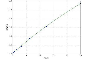 A typical standard curve (SERPINB2 ELISA 试剂盒)