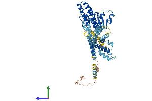 AlphaFold protein structure predicition of Mouse Recombinant Kcns3 Protein, UniprotID Q8BQZ8