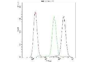 Flow Cytometry analysis of A549 cells using anti-ADO antibody (ABIN4886431).