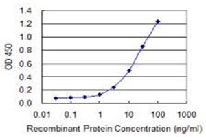 Detection limit for recombinant GST tagged MBD1 is 0. (MBD1 抗体  (AA 415-508))