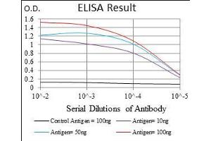 ELISA image for anti-Solute Carrier Family 27 (Fatty Acid Transporter), Member 2 (SLC27A2) (AA 346-405) antibody (ABIN1724864)