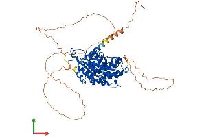 Protein Structure (PS) image for Cell Division Cycle 7 (CDC7) (AA 1-574) protein (His tag) (ABIN7553300)
