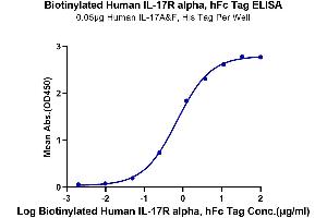 ELISA image for Interleukin 17 Receptor A (IL17RA) protein (Fc-Avi Tag,Biotin) (ABIN7274907)