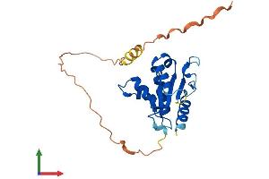 Protein Structure (PS) image for Toll-Interleukin 1 Receptor (TIR) Domain Containing Adaptor Protein (TIRAP) (AA 1-221) protein (His tag) (ABIN7544472)