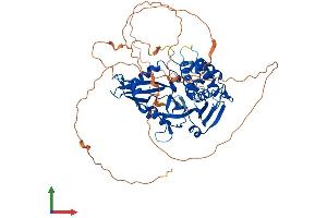 AlphaFold protein structure predicition of Human Recombinant USP21 Protein, UniprotID Q9UK80