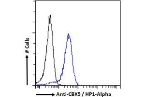 Flow Cytometry (FACS) image for anti-Chromobox Homolog 5 (CBX5) (Internal Region) antibody (ABIN185491)