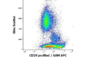 Flow cytometry surface staining pattern of human peripheral whole blood stained using anti-human CD29 (MEM-101A) purified antibody (concentration in sample 3 μg/mL) GAM APC. (ITGB1 抗体)