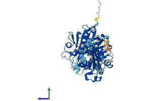 Protein Structure (PS) image for Sterol Carrier Protein 2 (SCP2) (AA 1-547) protein (His tag) (ABIN7563124)