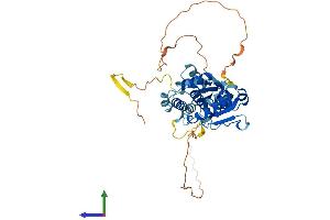 Protein Structure (PS) image for Dual Specificity Phosphatase 7 (DUSP7) (AA 1-422) protein (His tag) (ABIN7560129)