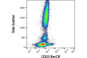 Flow cytometry surface staining pattern of human peripheral whole blood stained using anti-human CD21 (LT21) PerCP antibody (10 μL reagent / 100 μL of peripheral whole blood). (CD21 抗体  (PerCP))