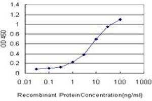 Detection limit for recombinant GST tagged DUSP5 is approximately 0. (DUSP5 抗体  (AA 286-384))