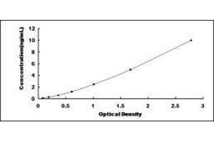 Dermcidin (DCD) ELISA Kit