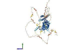 AlphaFold protein structure predicition of Human Recombinant RTKN2 Protein, UniprotID Q8IZC4