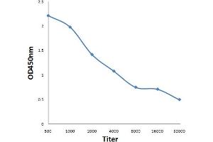 ELISA image for anti-Protein Kinase, AMP-Activated, alpha 2 Catalytic Subunit (PRKAA2) (AA 351-450) antibody (ABIN680458)