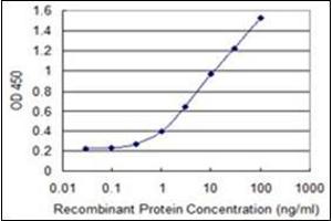 ELISA image for anti-Cytochrome b5 (CYTB5) (AA 1-135) antibody (ABIN951799)