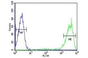 Flow Cytometry (FACS) image for anti-RAB5A, Member RAS Oncogene Family (RAB5A) (AA 182-211) antibody (ABIN3028967)